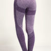 Women's Seamless 3D Fit Multi-Sport Sculpt Purple Leggings Back