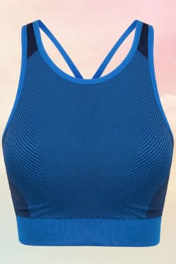 Women's Seamless Panelled Bright Blue Navy Crop Top