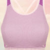 Women's Seamless Panelled Light Pink/Purple Crop Top