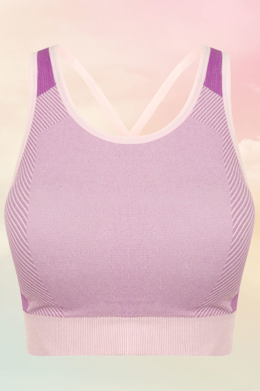 Women's Seamless Panelled Light Pink/Purple Crop Top