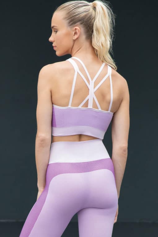 Women's Seamless Panelled Light Pink/Purple Crop Top Outfit Back